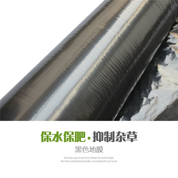 Пользовательские PE сельскохозяйственная пленка прозрачная пленка для производства черно-белой сельскохозяйственной мульчи для поставки дыни, фруктов и овощей для перфорирования X20