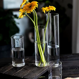 装饰花瓶;收纳密封罐;玻璃瓶