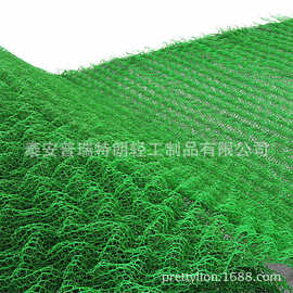 山东厂价自产直销 土工网垫 三维植被网垫 三维网垫 三维网