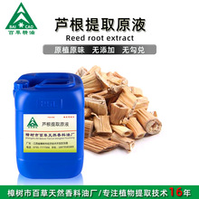 厂家批发 芦根提取液 萃取原液 植物提取液 原植原味 按摩液