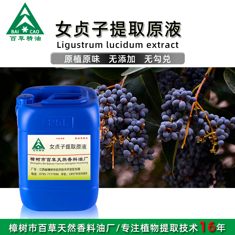 厂家批发 女贞子提取液 萃取原液 植物提取液 原植原味 按摩液
