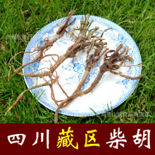 ������ș���Ĵ����β��������ݲ���� ����� ����� ���~���