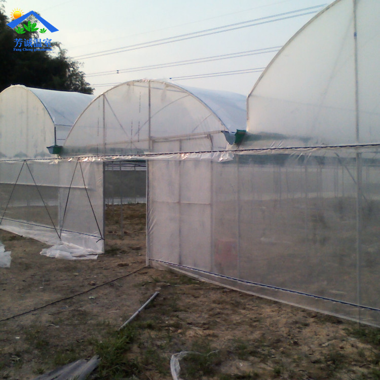 供应 热镀锌管连栋温室大棚透明薄膜温室大棚平方米 三针遮阳网棚