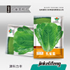 Peacock vegetables, lettuce seeds sowing Rome upright seed manufacturers of original color bags, easy -to -grow vegetable seeds wholesale