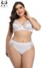 Sexy bra, set, ultra thin comfortable breathable underwear, plus size, European style, wholesale