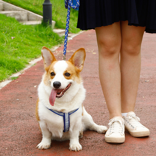 Amazon Pet Reflective Braided Leash Large Dog Explosion-proof Dog Rope Pet Chest and Back Dog Supplies