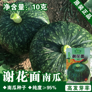 �ϹϷN���Ϲ��ѾG�Ϲ������A���ϸC�ϷN�� �ļ����N�߲˷N��