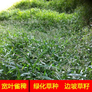 ���~ȸ�޲����o�²ݷN  ���a��ϲ�ݾG���o�²ݷN