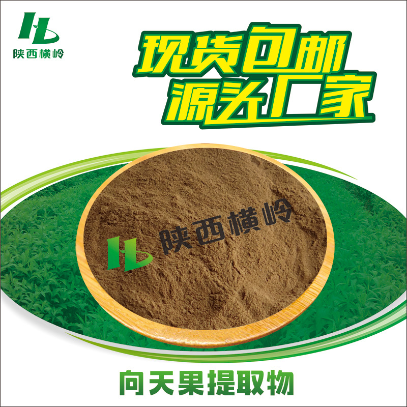 向天果提取物 50:1高比例向天果粉 向天果黄酮 1KG起订 量大价优
