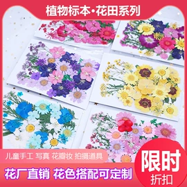 干花;拼插类玩具;科教玩具