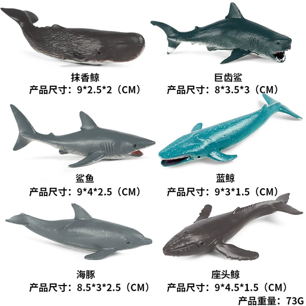 Js mini ocean 6 A