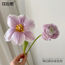 礼品营养花束鲜花鲜花包装色吸彩喷材料diy染色营养液染色剂花彩3