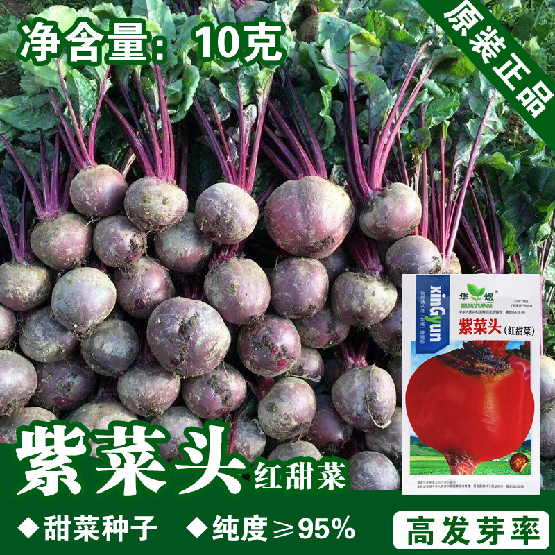 Laver -headed Seed Seed Seed Vegetable Vegetable Vegetable Vegetable…