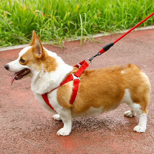 Havo foam handle rock climbing rope wear-resistant dog rope pet supplies anti-bite traction rope when going out