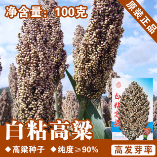 ��ճ�����N����׸����N��ճ������ʳ��ճ��F�N�ӷN�����l�˷N