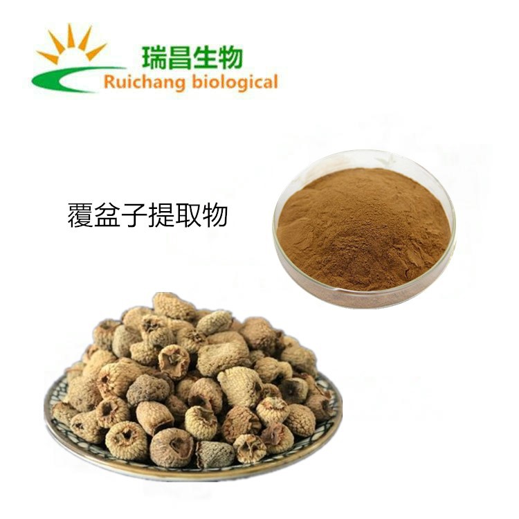 覆盆子提取物10:1 树莓比例萃取 含覆盆子黄酮 覆盆子粉 现货含运