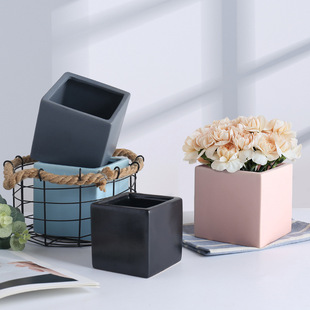 �մɻ��豱�W�僽�ɫ���b�ķ��ҾӺ��s�������Gֲ��ɫ�A��ˮ��