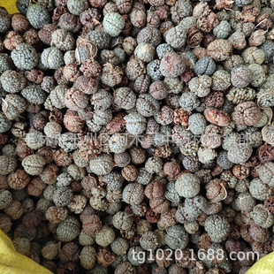 ��ޢ ��ș��  �ݶ�ޢ ��� �ݿ������C�u�˲ݿ��{ζ�� ����