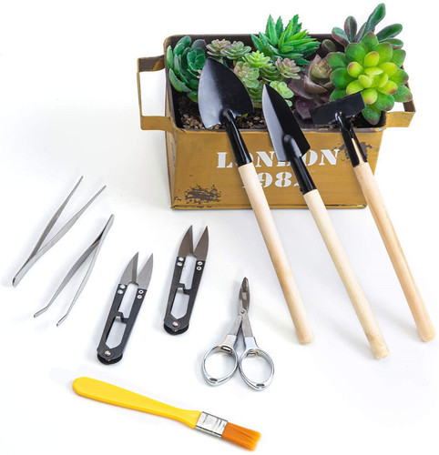 Street stall supply night market succulent gardening tool set spray bottle seedling starter watering soil shovel potted plant pruning tube shovel