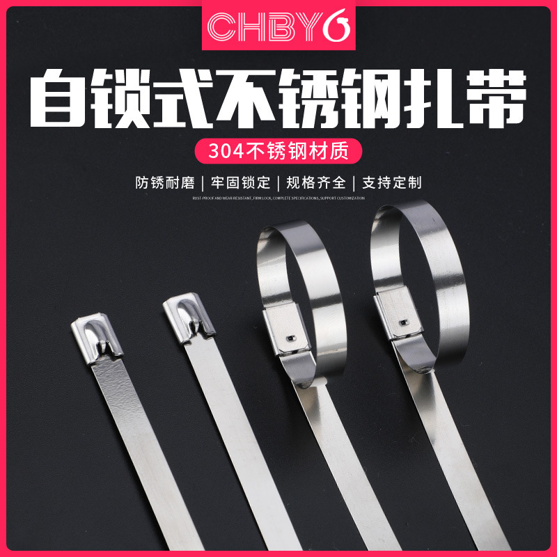 201 Stainless Steel Self-Locking Cable Tie 4.6mm Metal Marine Outdoor Fixed Seat Strap Strap Hoop Strap