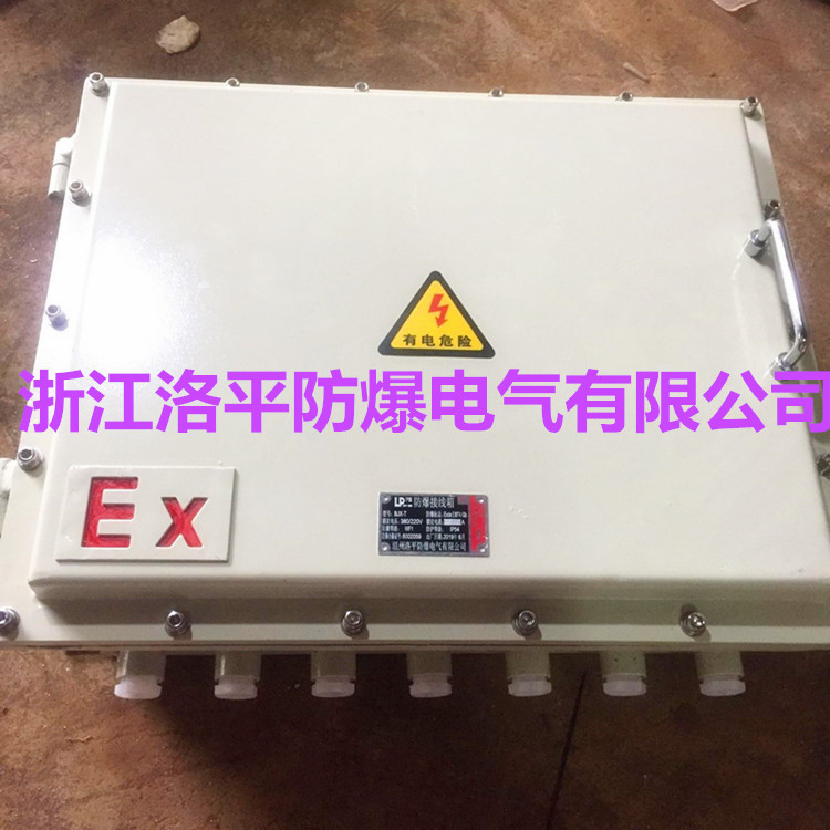 BJX防爆接线箱端子箱照明开关盒检修动力配电箱仪表控制柜300*400
