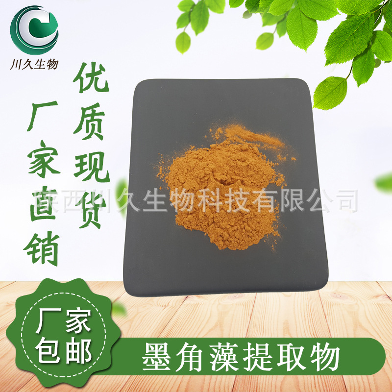 现货 墨角藻提取物 供应 墨角藻多糖 川久生物 墨角藻粉 岩藻黄质