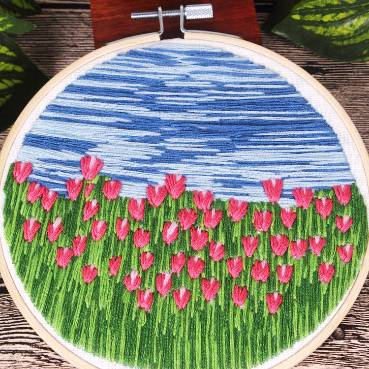 Holandés Tulip 15cm