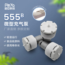 PYP555΢����ձ� 12V�����豸��Ħ��������ձ�