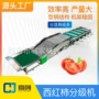 产量效率果蔬滚筒分级机