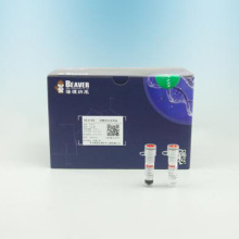 国产品牌海狸Protein A/G抗体纯化试剂盒 货号20202-5