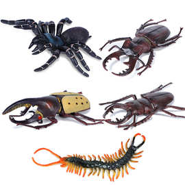 跨境仿真模型爬行动物蜘蛛蜈蚣楸甲大兜昆虫实心儿童认知科教玩具
