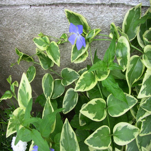 ���l���~���L������ �������~������ ͥԺ�^�p����ֲ�� ����ֱ�N