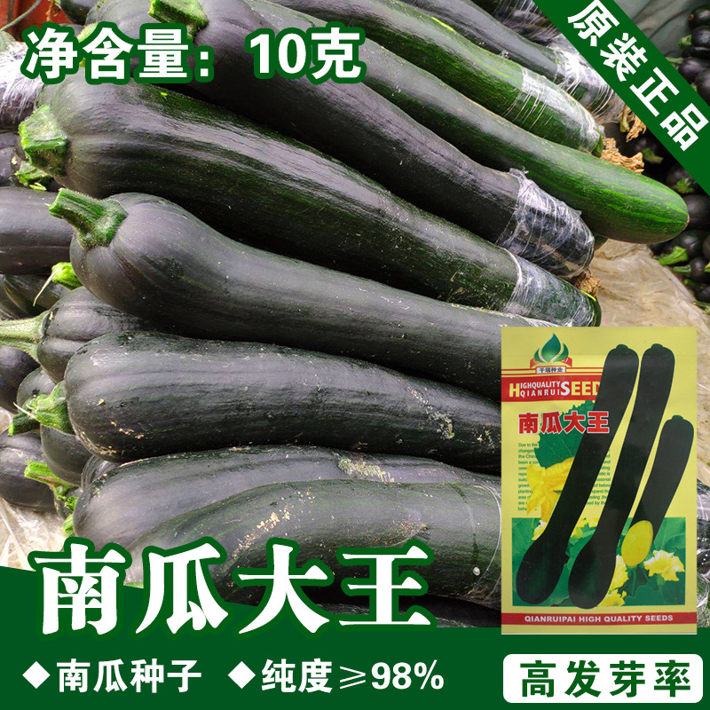 南瓜种子南瓜籽墨绿长南瓜农家菜园蔬菜种孑菜籽