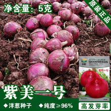 �����[�N�����[���ψA�[�N���ϼtƤ���[�߲˷N�����l�˷N����