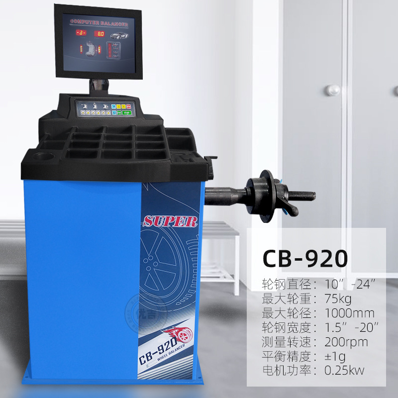 Sea Lion Castle máquina automática de equilibrio de neumáticos de coche instrumento de equilibrio de neumáticos de tamaño pequeño y mediano máquina de equilibrio dinámico placa europea