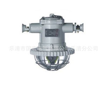 厂家销售  DGS13/127Y（T）矿用LED荧光灯