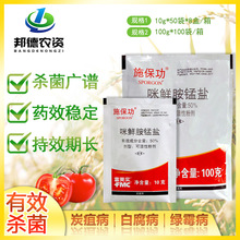 ������ʩ���� 50%���r���i�} ̿�Ҳ��׸����Gù�����r�rș������