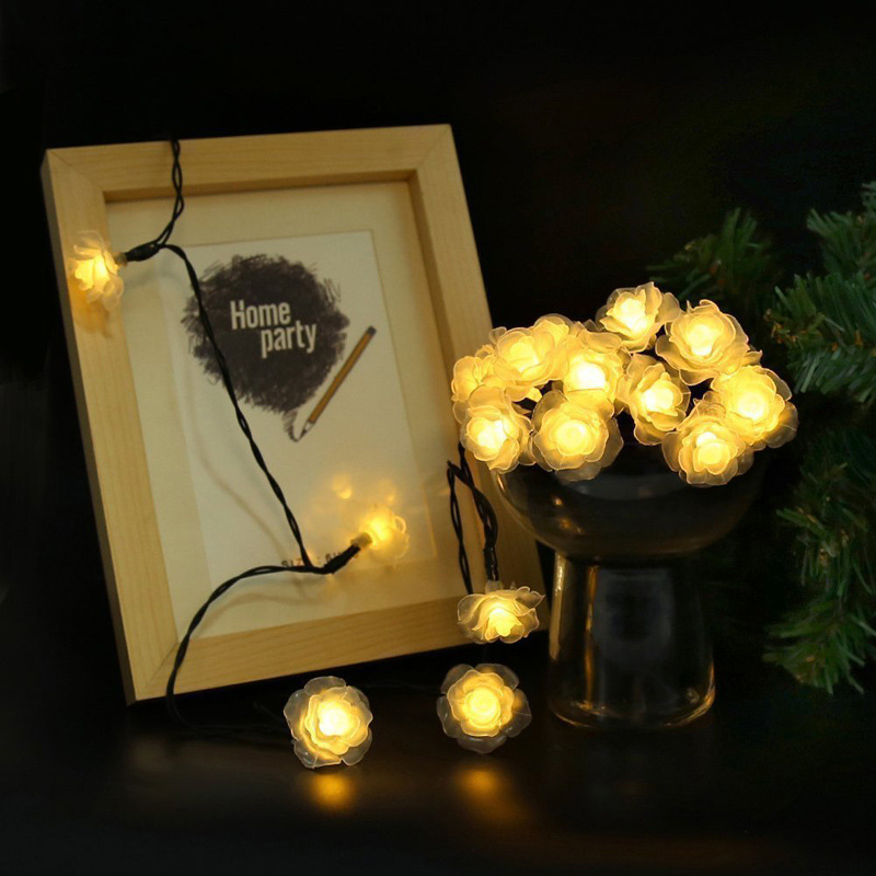 (로즈) 태양 에너지