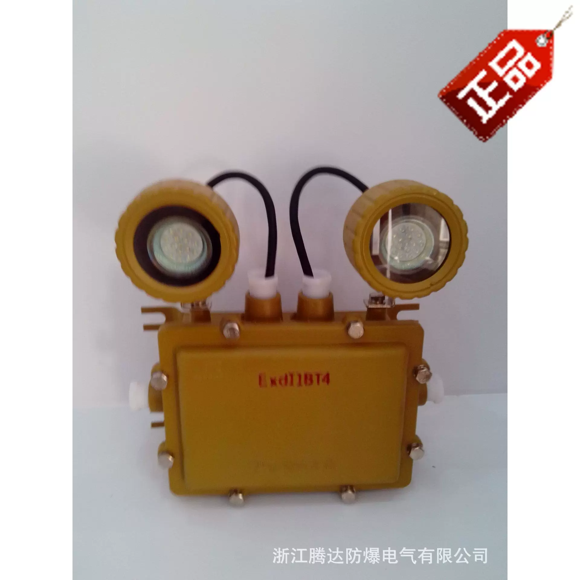防爆应急灯LED二眼照明灯消防应急超亮商用工厂IP6防爆双头应急灯