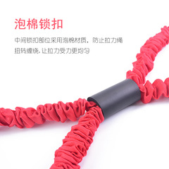 Resistance Bands for Graded Pulling, Latex Tube Pack, Pull-up Rope for Arm Strength Training