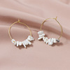 Accessory, fashionable earrings, European style, wholesale, 1 pair