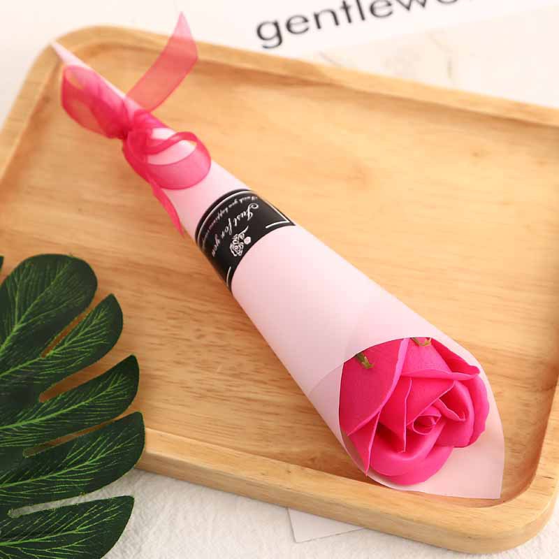 장미 꽃 + 핑크 종이