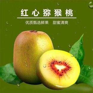Качественная модель Sichuan Pujiang Red Heart Kiwi - это не Xiangqi, чистый сладкий 5 фунтов свежих фруктов, One Piece