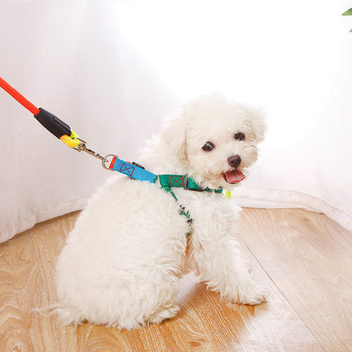 Colorful nylon round rope chest and back dog leash wholesale pet supplies dog rope pet leash