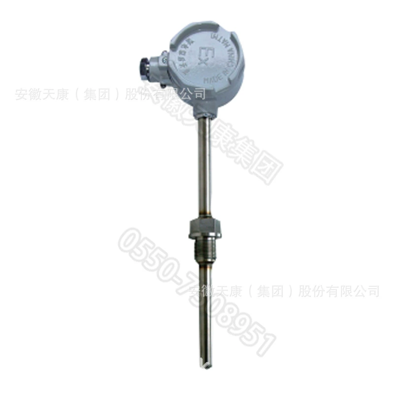 Группа заводская цена прямых продаж WZP-240G WZC-241G фиксированная резьба взрывозащищенный тепловой резистор X20