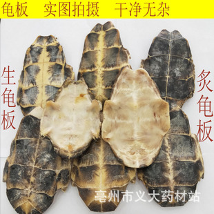 批发中药材 龟板 醋制龟板 炙龟板 龟壳龟甲生 规格齐全-阿里巴巴