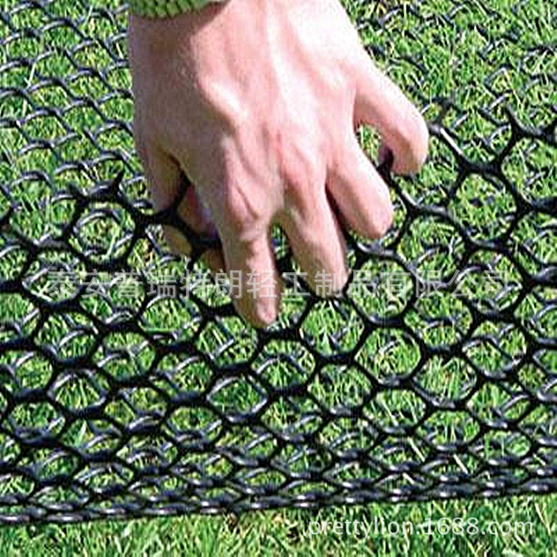 Скидка производителя Шаньдун, прямые продажи поставляют по всей стране, высокопрочные пластиковые геотехники, геозапчасти, геозапчасти