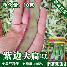 ��ⶹ�N�ӱⶹ�Ѷ��ǷN�Ӽܶ��N��ܿ���N���ļ����N��ü���N��