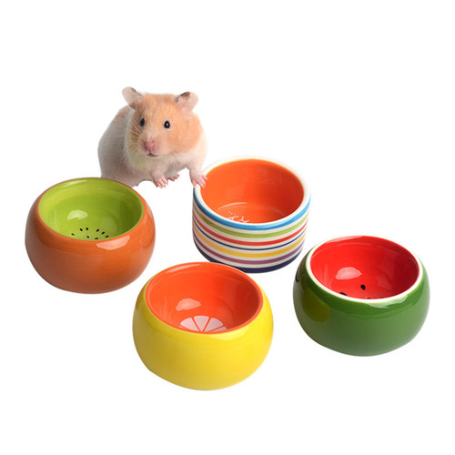 Hamster food bowl, sugar glider, fruit-colored ceramic bowl, hedgehog food bowl, squirrel golden bear food bowl, hamster supplies