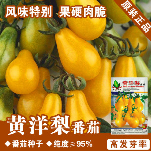 �S���ѷN���S�������߲˷N�����l�˷N���ѷN�ӹ�˾�ļ���